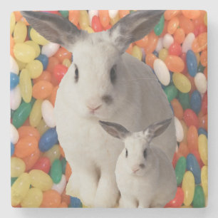 Porta-copo De Pedra Páscoa da Porta copos do Marble Stone