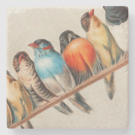 Porta-copo De Pedra Pássaros Coloridos em uma Perch 2