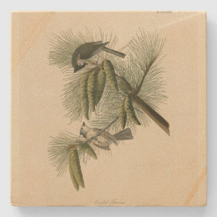 Porta-copo De Pedra Pássaros de Titmouse da América Crested (Tufted)