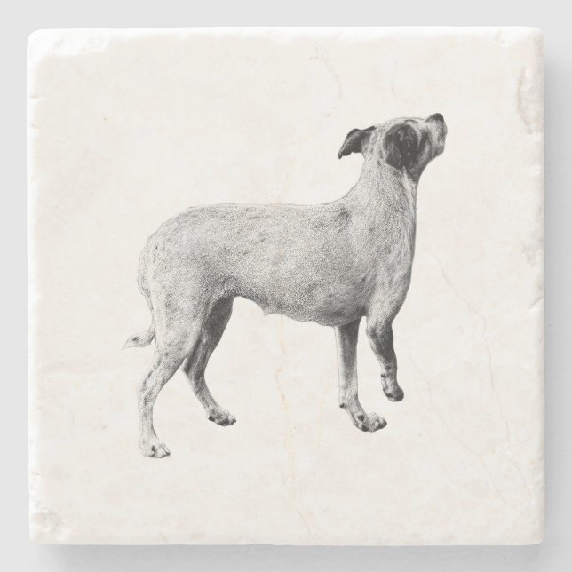 Porta-copo De Pedra Pausa de Sip — Procurando (Frente)