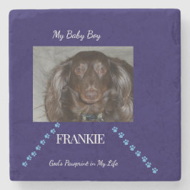 Porta-copo De Pedra Pawprint Blessing 