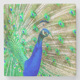Porta-copo De Pedra Peacock Plumage