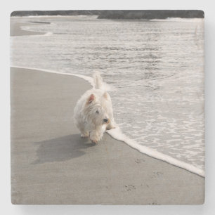 Porta-copo De Pedra Pedra de Apoio de Foto de Westie Cachorro Procuran