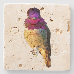 Porta-copo De Pedra Pedra para Copo com Foto da Beija-Flor Rosa de Ann