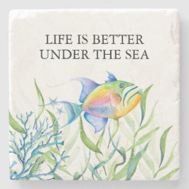 Porta-copo De Pedra Peixes Tropicais Favoritos De Linonfish