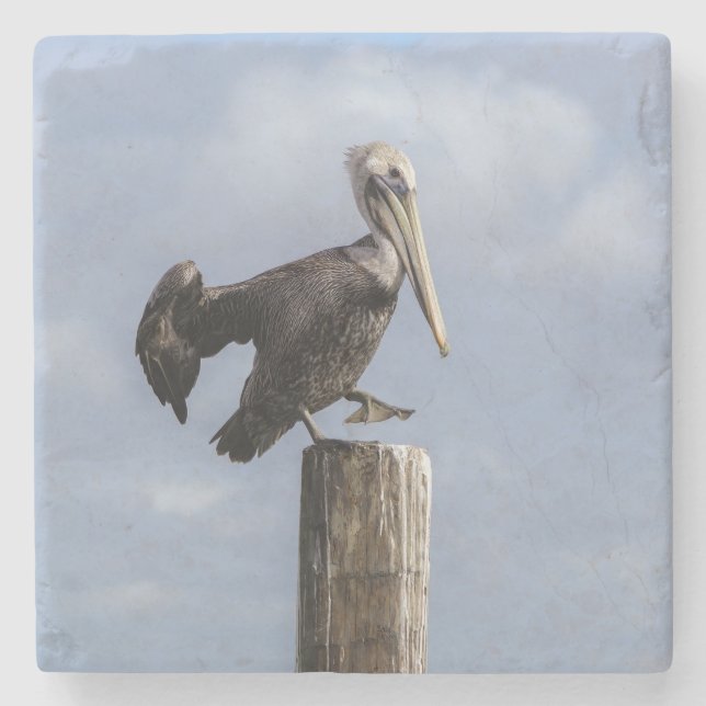 Porta-copo De Pedra Pelican (Frente)