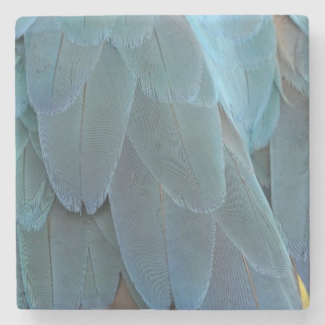 Porta-copo De Pedra Pena Azul (Frente)