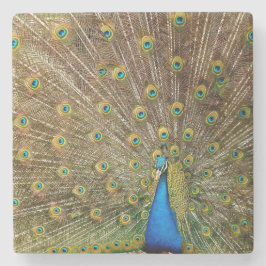 Porta-copo De Pedra Penas da Cauda Peacock