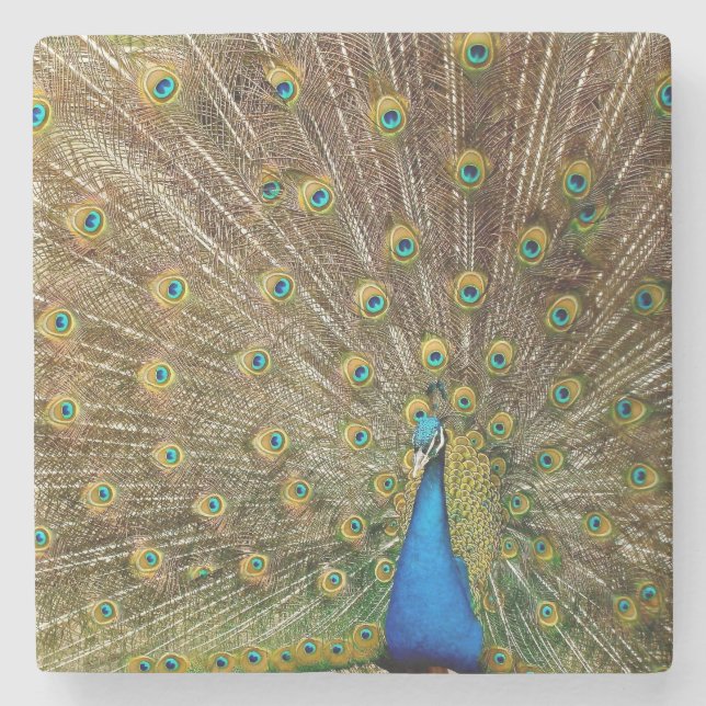 Porta-copo De Pedra Penas da Cauda Peacock (Frente)