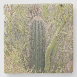 Porta-copo De Pedra Pequeno Saguaro Cactus, Arizona, porta copos de pe