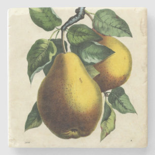 Porta-copo De Pedra Pera de ouro