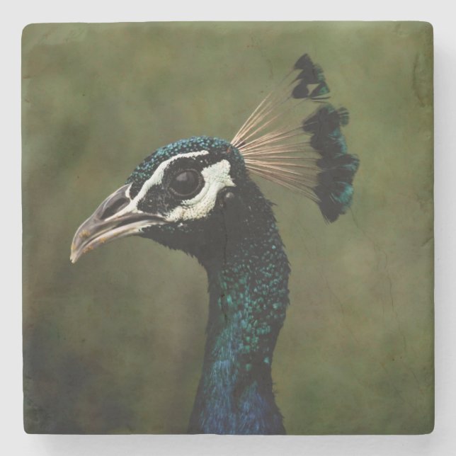 Porta-copo De Pedra Perfil de Peacock (Frente)