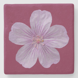Porta-copo De Pedra Pineywoods Geranium nº 1
