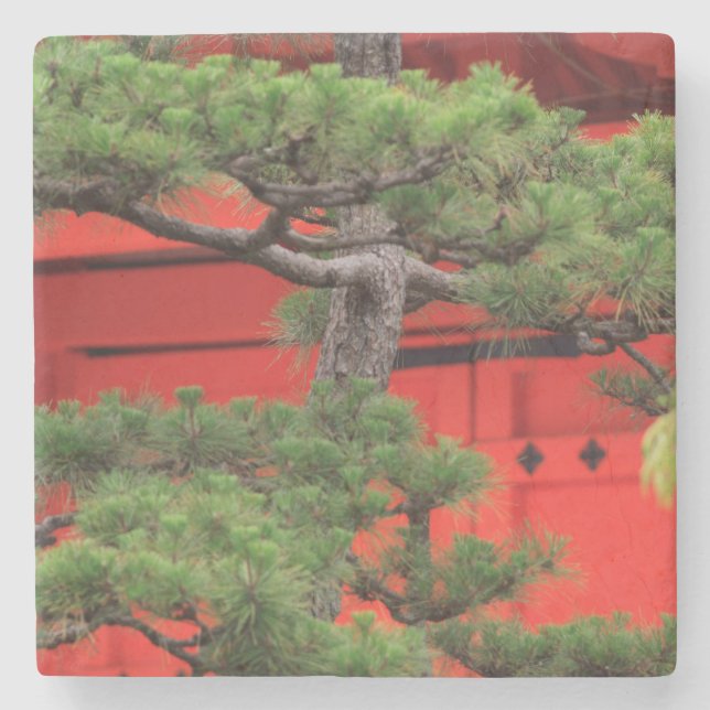 Porta-copo De Pedra Pinheiro Bonsai (Frente)