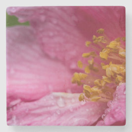 Porta-copo De Pedra Pink Camellia Flower Stamens