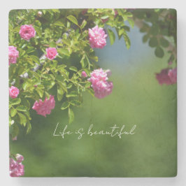 Porta-copo De Pedra Pink Roses Floral (photography by me)