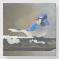 Pintura Blue Jay - Arte Original para Pássaros
