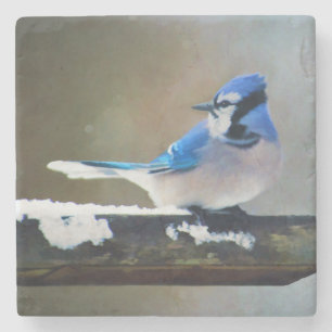 Porta-copo De Pedra Pintura Blue Jay - Arte Original para Pássaros