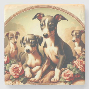 Porta-copo De Pedra Pintura em Greyhound Italiano, Cute Vintage