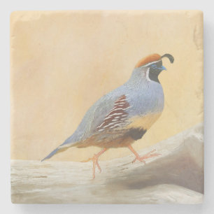 Porta-copo De Pedra Pintura em Quail de Gambrel — Arte original sobre