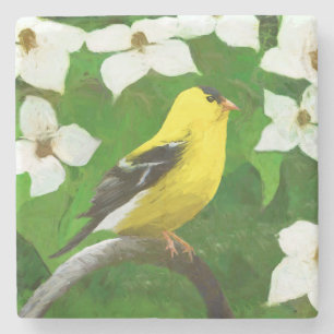 Porta-copo De Pedra Pintura Goldfinch - Arte Cachorra Original
