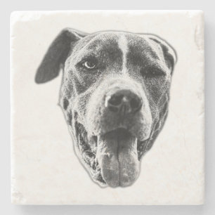 Porta-copo De Pedra Piscar os olhos de saída de língua—Pitbull Mix Min