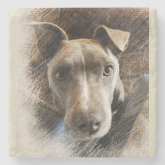 Porta-copo De Pedra Pitbull