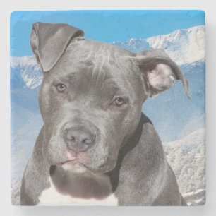 Porta-copo De Pedra Pitbull