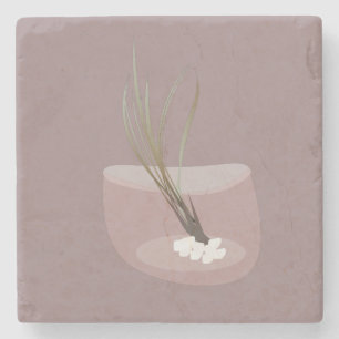 Porta-copo De Pedra Planta Airplant Tillandsia Terrário Rosa Bege