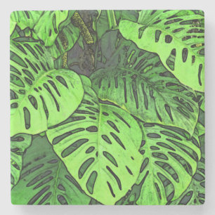 PORTA-COPO DE PEDRA PLANTACOTOVELO/"PLANTACHUVA"/PLANTA TROPICAL