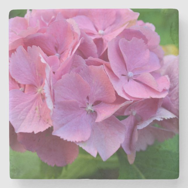 Porta-copo De Pedra Pompom Rosa Hidrangea Hortensia Flor (Frente)