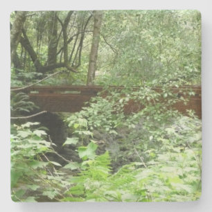 Porta-copo De Pedra Ponte Muir Woods I