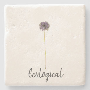 Porta-copo De Pedra Porta copos