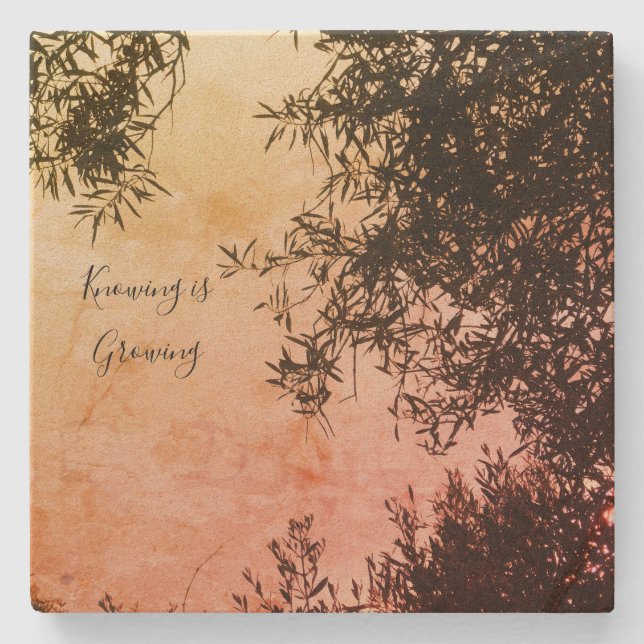 Porta-copo De Pedra porta copos (Frente)