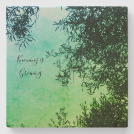 Porta-copo De Pedra porta copos