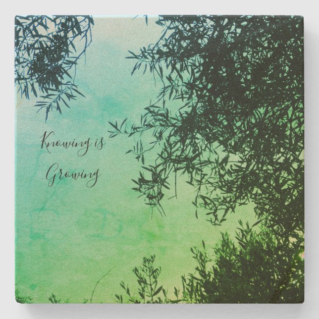 Porta-copo De Pedra porta copos (Frente)