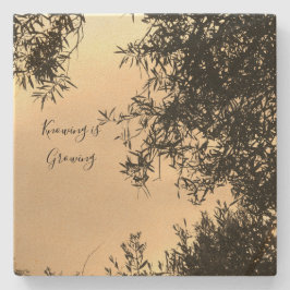 Porta-copo De Pedra porta copos