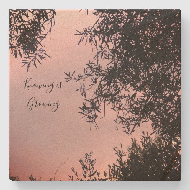 Porta-copo De Pedra porta copos (Frente)