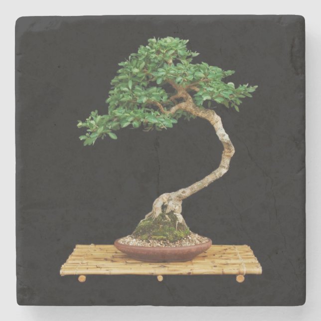 Porta-copo De Pedra Porta copos Bonsai Tree Stone (Frente)