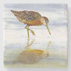 Porta-copo De Pedra Porta copos Curto-Faturada do Dowitcher
