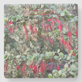 PORTA-COPO DE PEDRA PORTA COPOS DA CALIFÓRNIA: JANEIRO