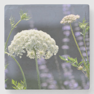 Porta-copo De Pedra Porta copos da rainha Anne