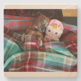 Porta-copo De Pedra Porta copos Dachshund Stone