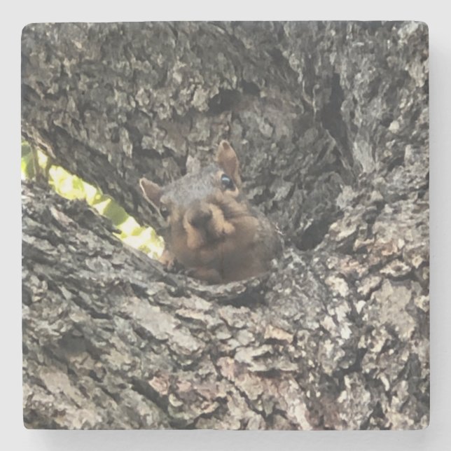 Porta-copo De Pedra Porta copos de Esquilo (Frente)