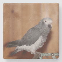 PORTA COPOS DE FOTOS PERSONALIZADA