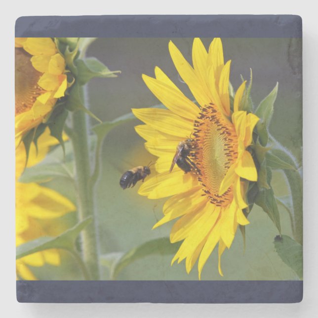 Porta-copo De Pedra Porta copos de girassol (Frente)