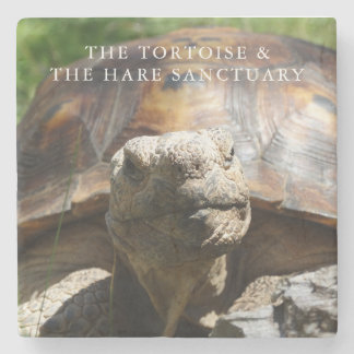 Porta-copo De Pedra Porta copos de Hania