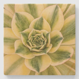 Porta-copo De Pedra Porta copos de mármore de Succulishus