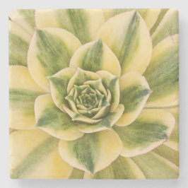 Porta-copo De Pedra Porta copos de mármore de Succulishus