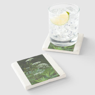 Porta-copo De Pedra porta copos de modelo